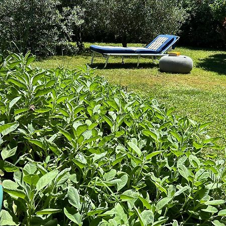 Golden Hill - Big Rooms With Kitchen And Garden Collina d'Oro Luaran gambar