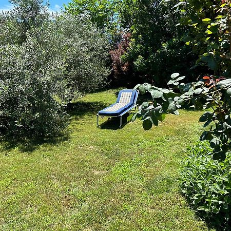 Golden Hill - Big Rooms With Kitchen And Garden Collina d'Oro Luaran gambar